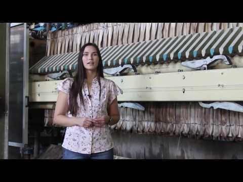 Видео: Раевский сахарный завод