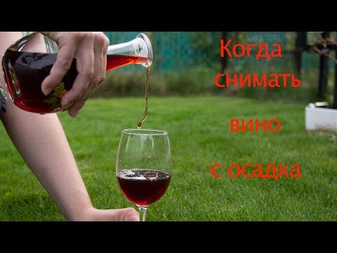 Видео: Когда снимать вино с осадка?