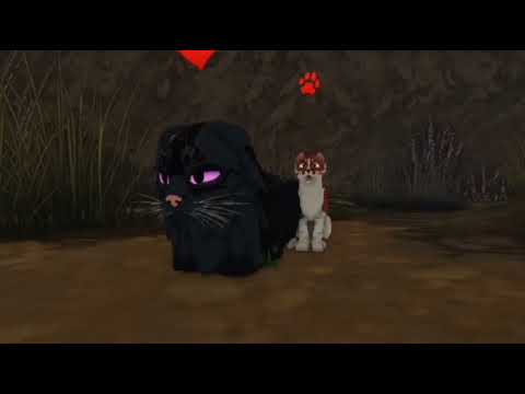 Видео: как ролить за котёнка, королеву,оруженосца в WCUE|Warrior cats: ultimate edition|•кобра