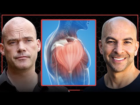 Видео: Оптимизация синтеза мышечного белка: упражнения, время приема белка, качество белка и многое другое