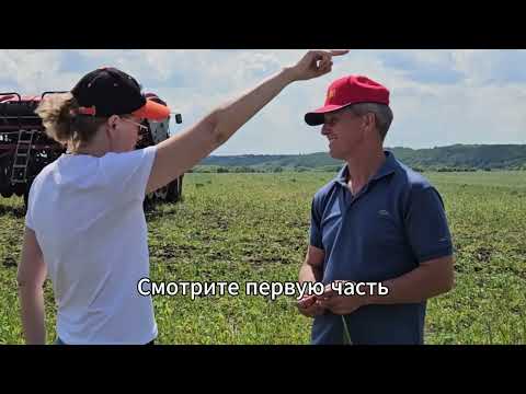 Видео: ПРОГРЕЙН по No-Till #соя
