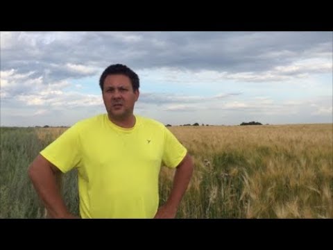 Видео: Канадский фермер - 24