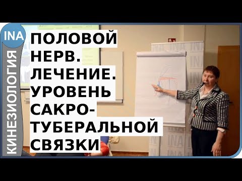 Видео: Половой нерв. Лечение. Уровень 2. Кинезиология. Л.Ф.Васильева