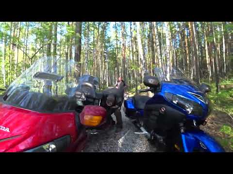 Видео: мотопрогулка на озеро ГЛУХОЕ Honda goldwing 1800