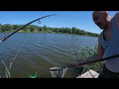 Видео: РЫБАЛКА НА ТРОЕ СУТОК г.ВОЛОКОЛАМСК МОСКОВСКАЯ ОБЛАСТЬ