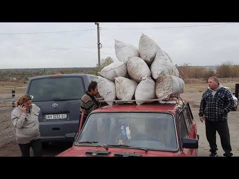 Видео: Сдаем шерсть