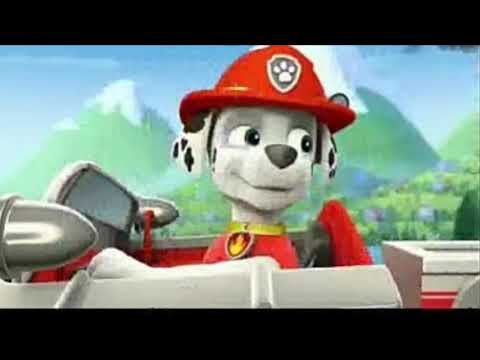 Видео: Маршал и Эверест❤💙💙💜