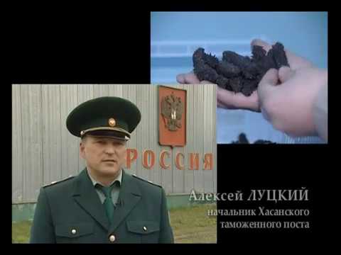 Видео: Трепанг. Обратный отсчёт .