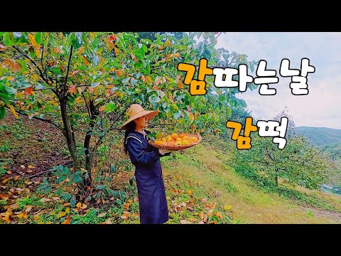 Видео: В глубокой горной деревне собираем хурму и делаем из нее пирожки.