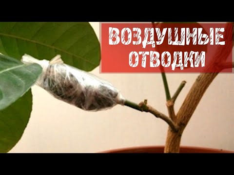 Видео: ВОЗДУШНЫЕ ОТВОДКИ
