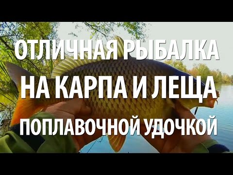 Видео: ЛОВЛЯ КАРПА и ЛЕЩА на ПОПЛАВОЧНУЮ УДОЧКУ. ЛЕТНЯЯ РЫБАЛКА в ИЮЛЕ на РЫБИНКЕ
