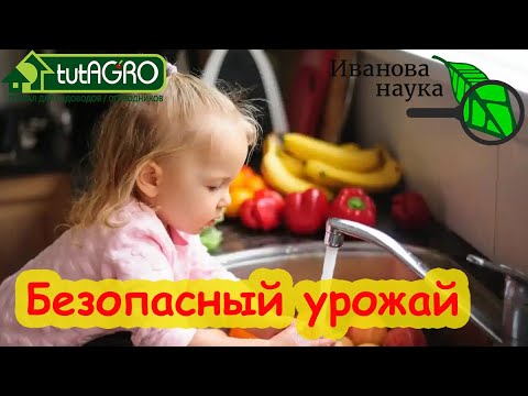Видео: МОЙТЕ ОВОЩИ и ФРУКТЫ С ЭТИМ КУХОННЫМ СРЕДСТВОМ и забудьте о ядовитых обработках. Забота о здоровье!