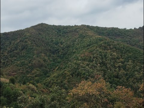 Видео: ON THE STEPS OF MR. PSYCHIAS / part 68/. ЗЛИ ДОЛ, община Мездра