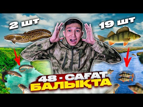 Видео: 48-САҒАТТА ЕКІ ӨЗЕННЕН ҚАНША БАЛЫҚ ҰСТАЙМЫЗ ?