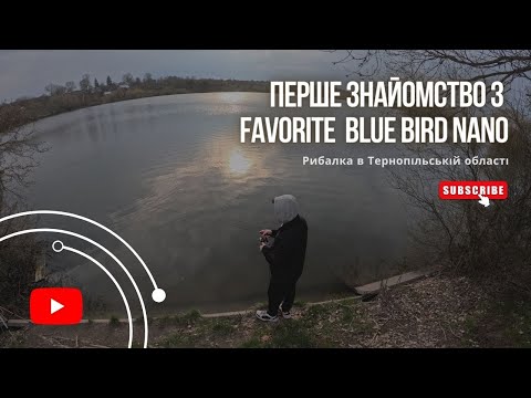 Видео: Тестуємо Favorite Blue Bird Nano або моя перша рибалка на мормишинг. Рибалка в Тернопільські області