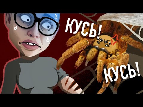 Видео: УКУС ЯДОВИТОГО ПАУКА! ЖЕСТЬ!