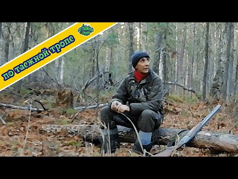 Видео: Жизнь в тайге. Таежный быт. Планировка под НУЖНОЕ место на зимовье