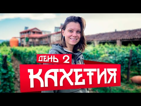 Видео: ГРУЗИЯ 2021. Винодельня, монастырь, ранчо. Чем ещё удивит КАХЕТИЯ? #грузия #кахетия #путешествие