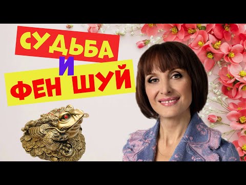 Видео: Светлана Рожкова.Юмористическая передача.Юмор.