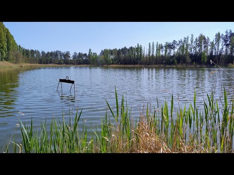 Видео: Перші враження від ультралайт-комплекту Shimano Soare 19 BB S70SUL-S 2.13 м, 0.4–4 г.