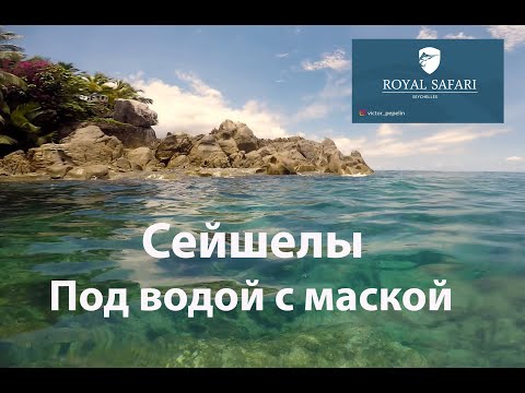 Видео: Сейшелы. Под водой с маской.