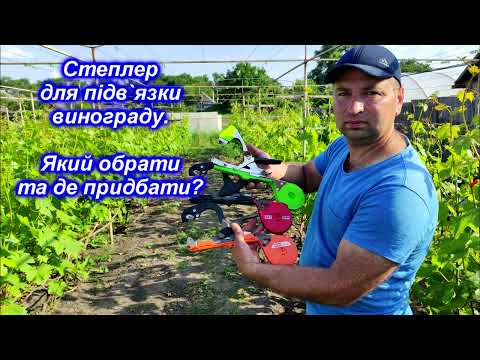 Видео: Степлер для підвязки винограду 2023. Який обрати та де придбати?