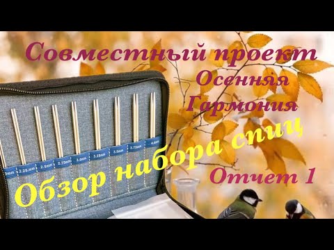 Видео: Обзор набора спиц. СП «Осенняя Гармония» Отчет 1.