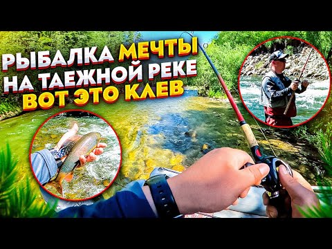 Видео: Рыбалка мечты на таежной реке. На такой клев я давно не попадал/Хариус на каждом забросе. SUB #6