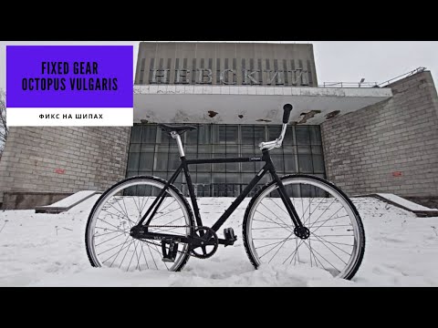 Видео: Fixed gear на шипах | Тест с Димой Богатыренко | Лучший для зимы в городе?
