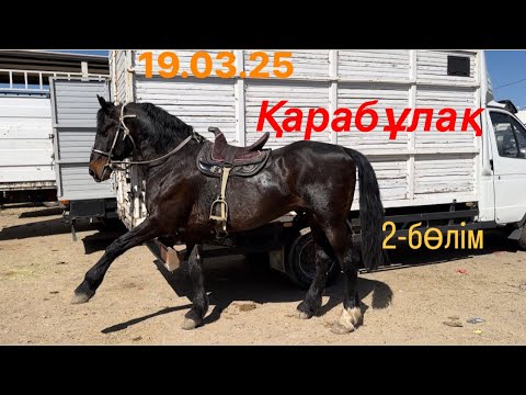 Видео: Жылқы бағасы 2-бөлім Қарабұлақ мал базары