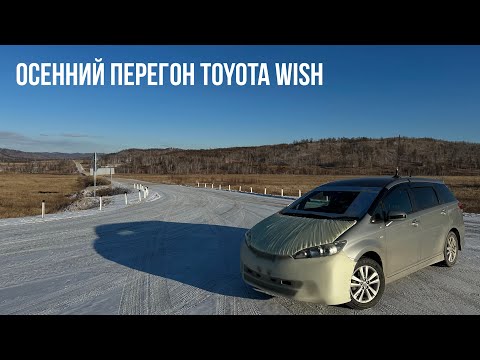 Видео: Перегон TOYOTA WISH с пробегом 65 т.км