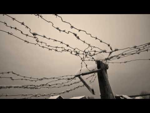 Видео: Над Колымской землей