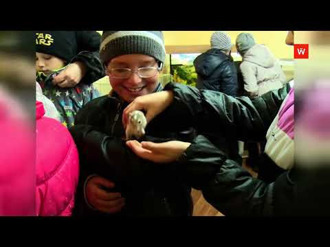 Видео: Ретроспектива-2015: Синичкин день