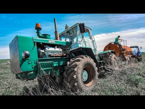 Видео: НА ТРЕХ ТРАКТОРАХ В ПОЛЕ. Т150. МТЗ 82. МТЗ 82П
