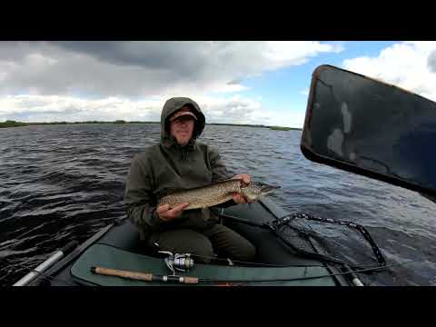 Видео: Ловим щуку на вертушки. Щука на спиннинг. Ильмень 2023