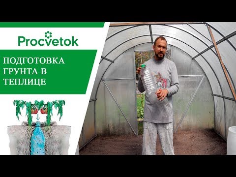Видео: Подготовка теплицы для посадки томатов. Подготовка почвы для посадки помидор в парнике.