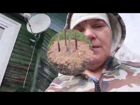 Видео: Посадки начались, домашние хлопоты.