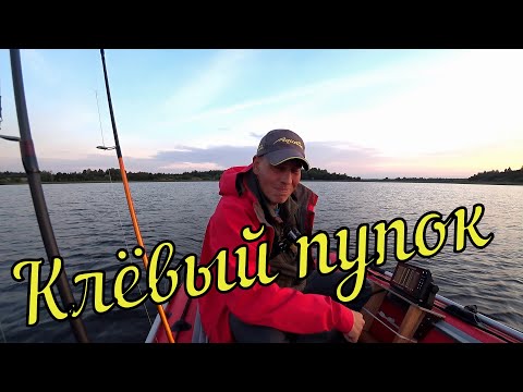 Видео: Поиск ЩУКИ и ОКУНЯ на незнакомом озере. Воблеры, джиг, колебло
