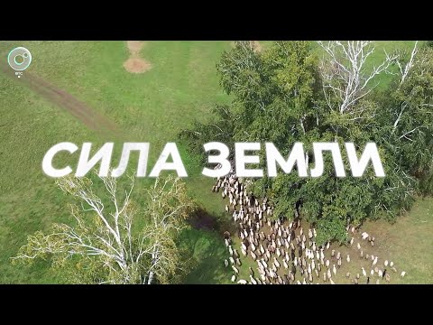 Видео: Программа "СИЛА ЗЕМЛИ" | 18 сентября 2025 | Телеканал ОТС