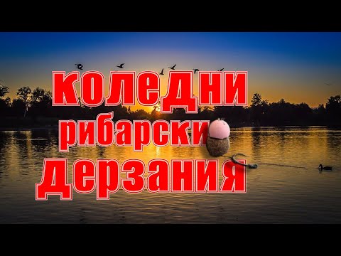 Видео: Риболов на шаран | Коледни рибарски дерзания