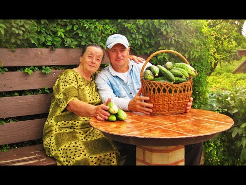 Видео: ОГОРОД - КОРМИЛЕЦ
