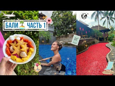 Видео: 🧳СОБИРАЮ ЧЕМОДАН В ОТПУСК⛱️ • ДОЛГИЙ ПЕРЕЛЁТ И ПЕРВЫЕ ДНИ НА БАЛИ🏝️• Я В ВОСТОРГЕ! 🥹😭😍