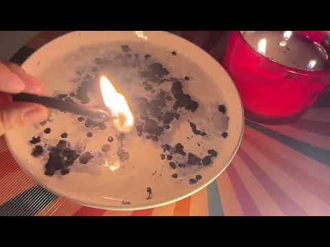 Видео: 🎄🐎Ваш 2️⃣0️⃣2️⃣6️⃣