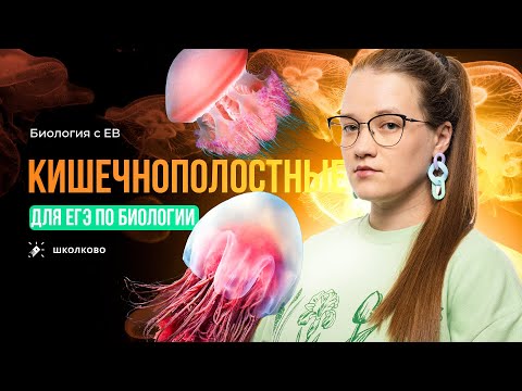 Видео: Зоология: кишечнополостные. ЕГЭ по биологии 2024