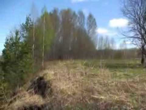 Видео: Река Кострома 2013год