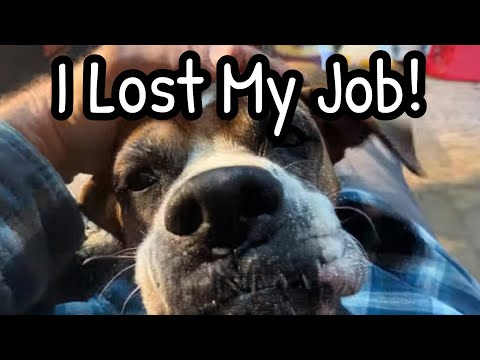 Видео: Собаки-спасатели положили конец моей актерской карьере