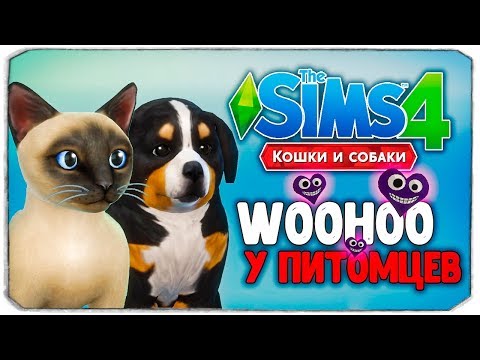 Видео: WOOHOO У ПИТОМЦЕВ - The Sims 4 "Кошки и Собаки"