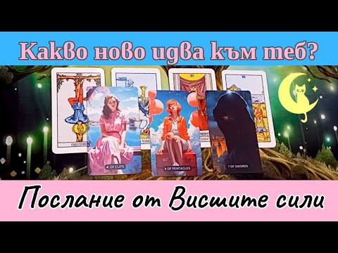 Видео: Какво НОВО идва към теб? Подготви се със съветите от картите Таро и оракула