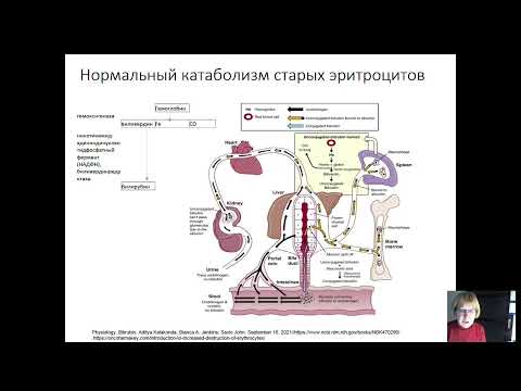Видео: Гемолитические анемии