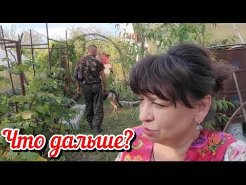 Видео: Что дальше? Приятная неожиданность. Самый дешевый и вкусный салат. Жизнь семьи в деревне.